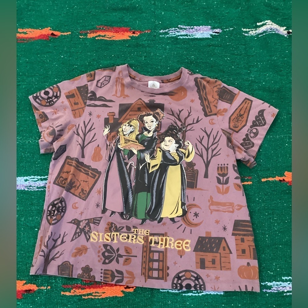 2023 Disney Parks Hocus Pocus Witches T-Shirt The Sisters Three Womens Sz L
@14